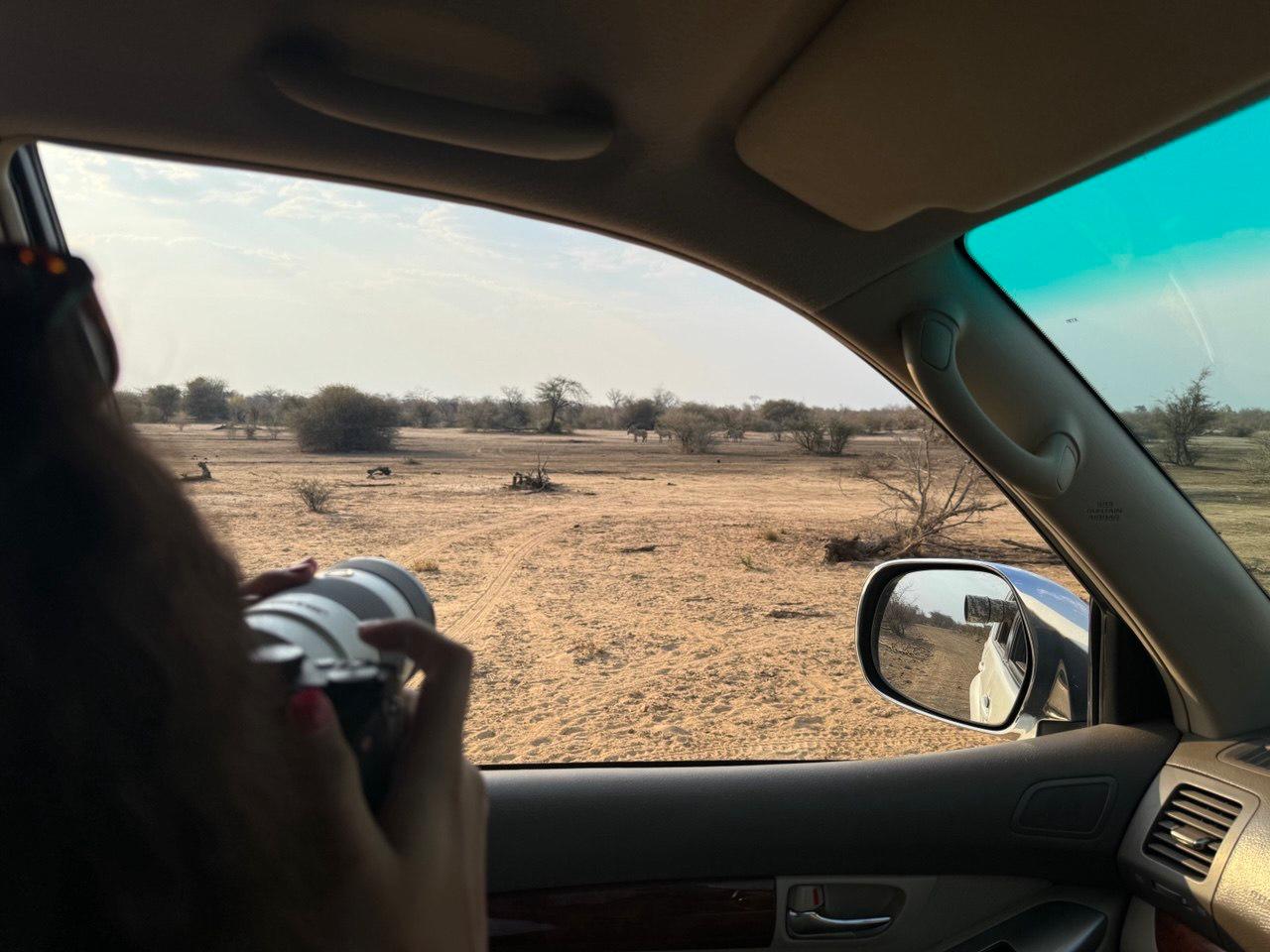 Photographing wildlife from a safari vehicle in Namibia