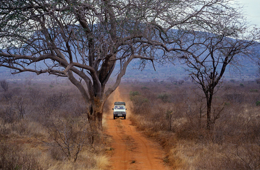 Self-drive vehicle on a Namibia gravel road — Inside Namibia